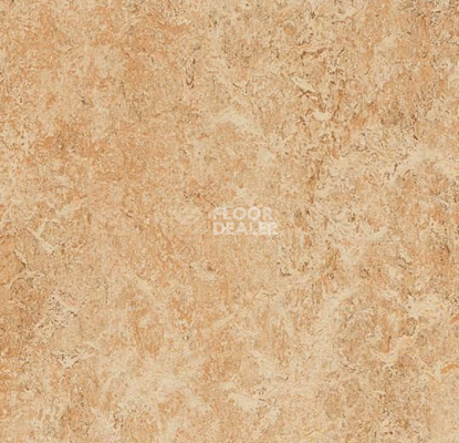 Линолеум Forbo Marmoleum Marbled Authentic 3075 shell фото 1 | FLOORDEALER
